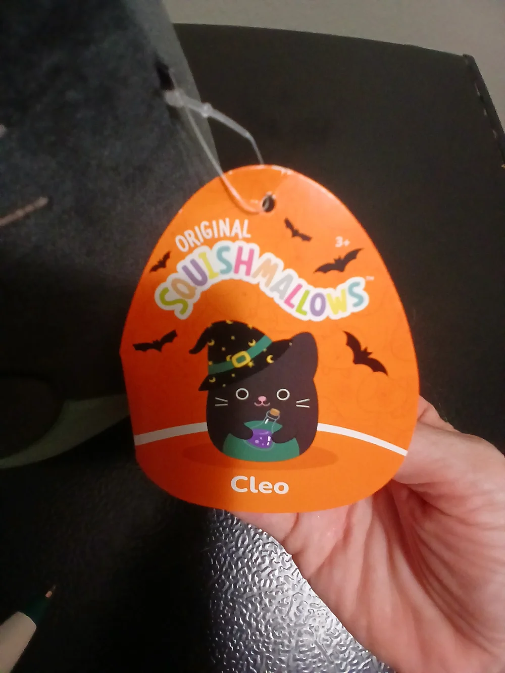 11 Inch Cleo Black Witch Cat Plush with Green Bowl and Purple Jar Accent